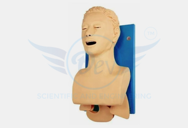 CPR TRAINING MANIKIN AIRWAY