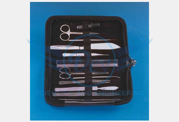 DISSECTING SET, INTERMEDIATE