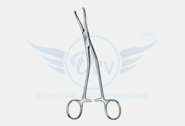 DINGMAN CLAMPS