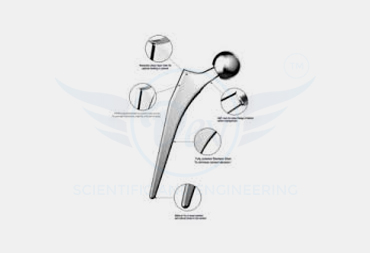 HIP PROSTHESIS