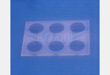 MICRO SLIDES V.D.R.L