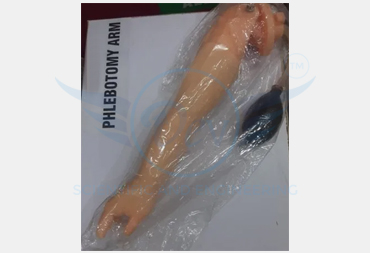 PHLEBOTOMY ARM