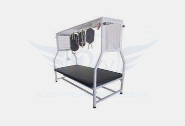 PHYSIO COUCH FOR SUSPENSION