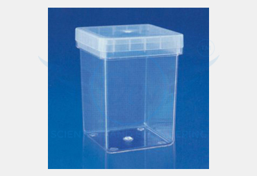 MAGENTA BOX