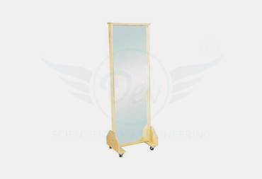 TRAINING MIRROR